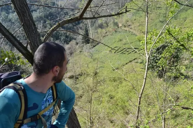 Trabzonlu Çiftçi, Referandumda Kullanacağı Oyu Çay Bahçesine Yazdı