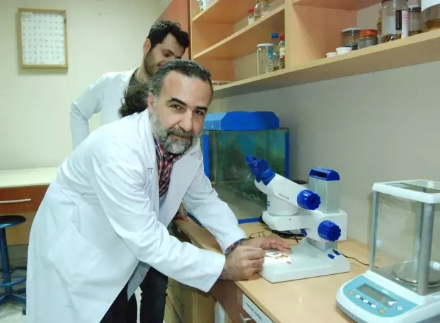 Et Yiyen Örümcek ile Kedinin Ölüm Kalım Mücadelesi Kameralara Yansıdı