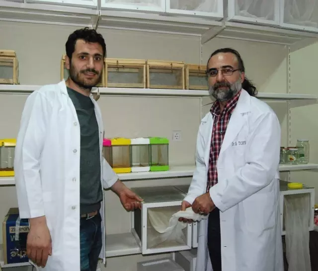 Et Yiyen Örümcek ile Kedinin Ölüm Kalım Mücadelesi Kameralara Yansıdı