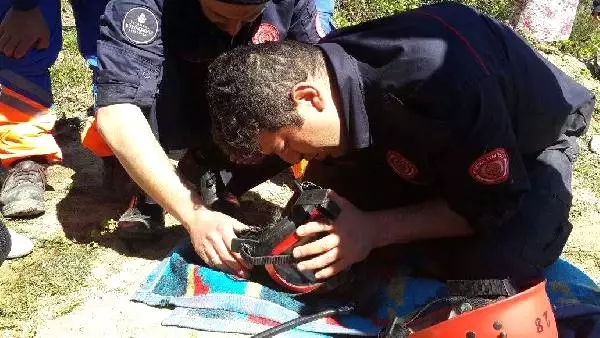 Kuyuya Düşen Yavru Köpekler Sıra Dışı Operasyonla Kurtarıldı