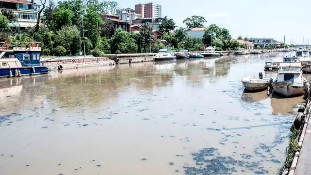 İBB Başkanı Topbaş: Kurbağalıdere'de, Yaz Sonu Yüzülebilecek