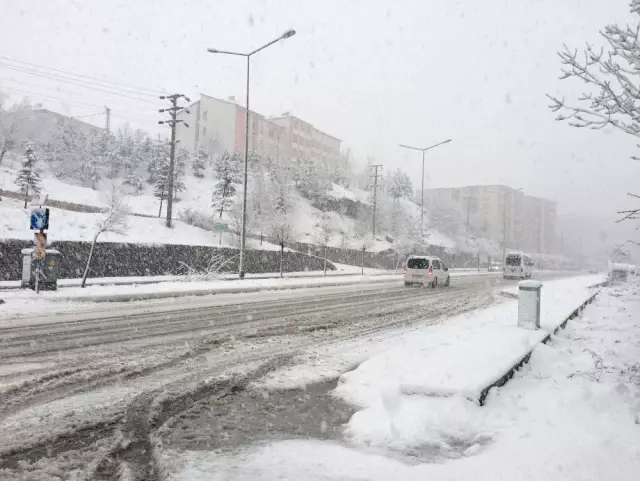 Bitlis'te Nisan Ayında Lapa Lapa Kar Yağdı