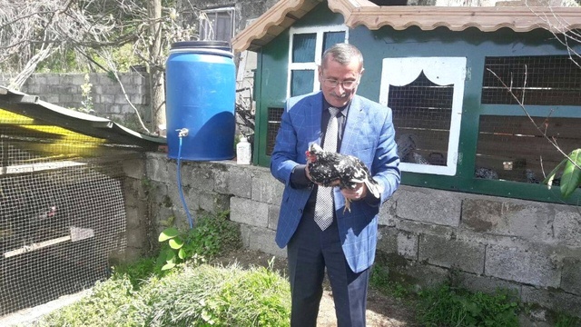 50 Bin Dolarlık Kümes! Renkli Yumurtlayan Tavuklar, El Yakıyor