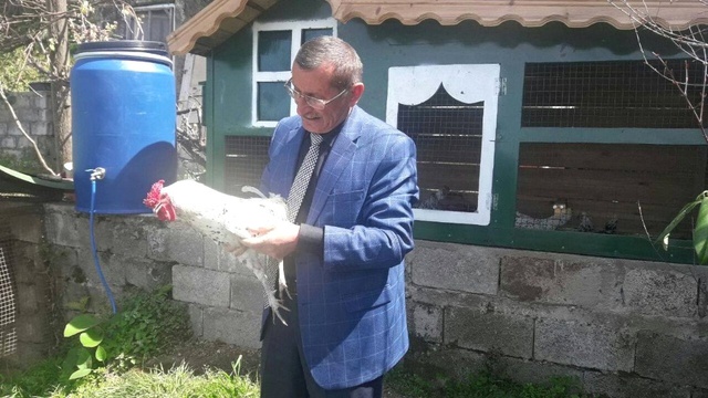 50 Bin Dolarlık Kümes! Renkli Yumurtlayan Tavuklar, El Yakıyor