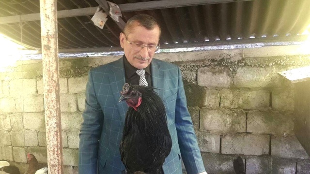 50 Bin Dolarlık Kümes! Renkli Yumurtlayan Tavuklar, El Yakıyor