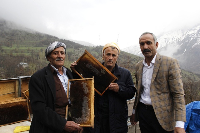 Arı Ölümleri Arıcıları Zor Durumda Bıraktı