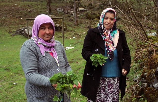 Giresunlu Kadınlar, Isırgan Otundan İplik Elde Etmeyi Başardı