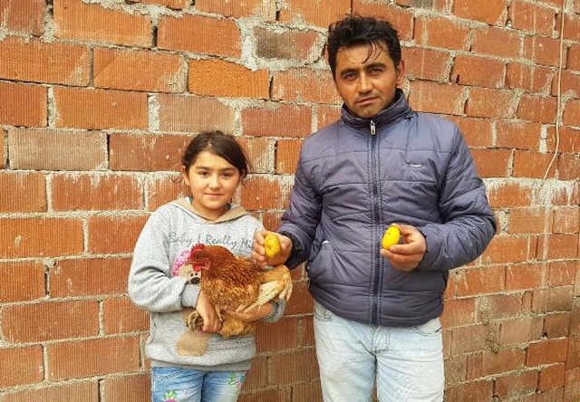 Patatese Benzeyen Yumurta Görenleri Şaşırtıyor
