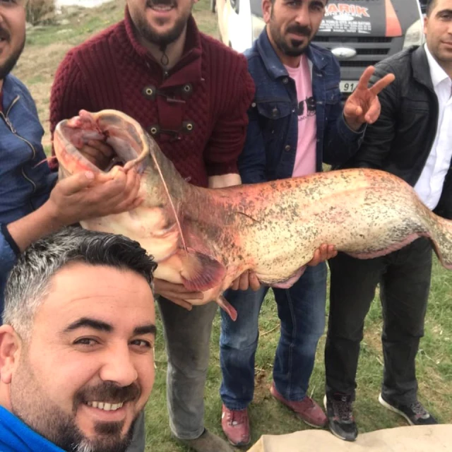 Iğdır'da 100 Kiloluk Yayın Balığı Yakalandı