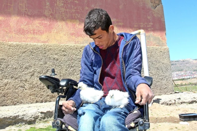 Engelli Oğlunun Civciv İsteği Gelir Kaynağı Oldu