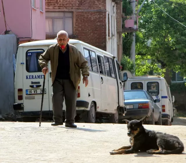 Sigarayı Bırakmak İçin Ağzına Aldığı Gülü 59 Yıldır Bırakmıyor