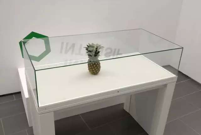 Şaka İçin Sergiye Bırakılan Ananas, Sanat Eseri Diye Cam Vitrine Alındı