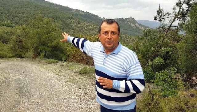 Sakaryalı Vatandaş 'Hoşt' Diyerek Ayıyı Kovalamak İstedi, Olmayınca <a class='keyword-sd' href='/ormana/' title='Ormana'>Ormana</a> Kaçtı