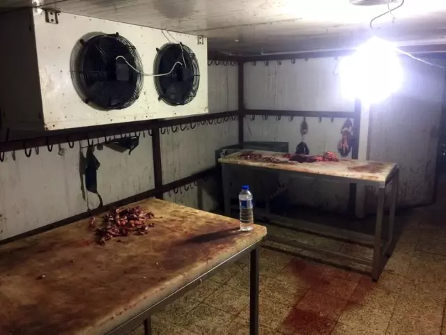 Gaziantep'te 3.5 Ton At ve Eşek Eti Ele Geçirildi