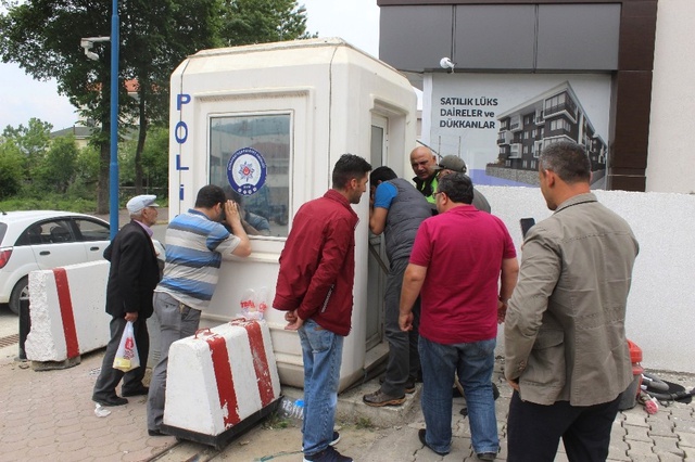 Yavru Ayı Kent Merkezine İndi, Vatandaşlar Gözlerine İnanamadı