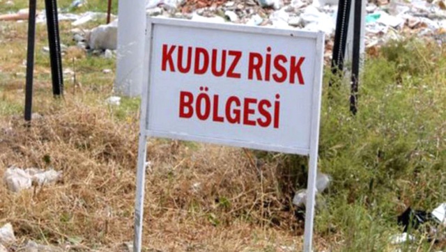 Bursa'da Kuduz Vakası Görülen Köyler Karantinaya Alındı
