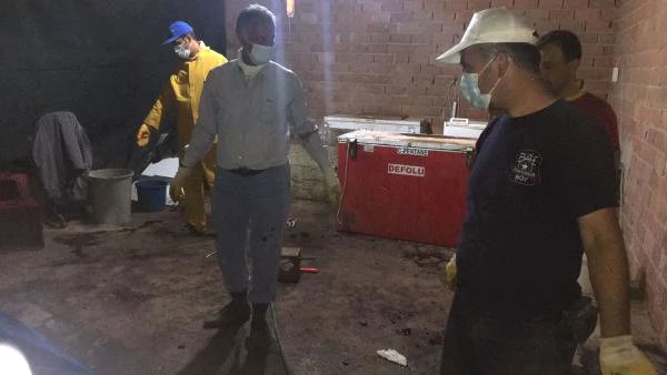 Aydın'da Piyasaya Sürülmek Üzere Hazırlanan 5 Ton Domuz Eti Ele Geçirildi