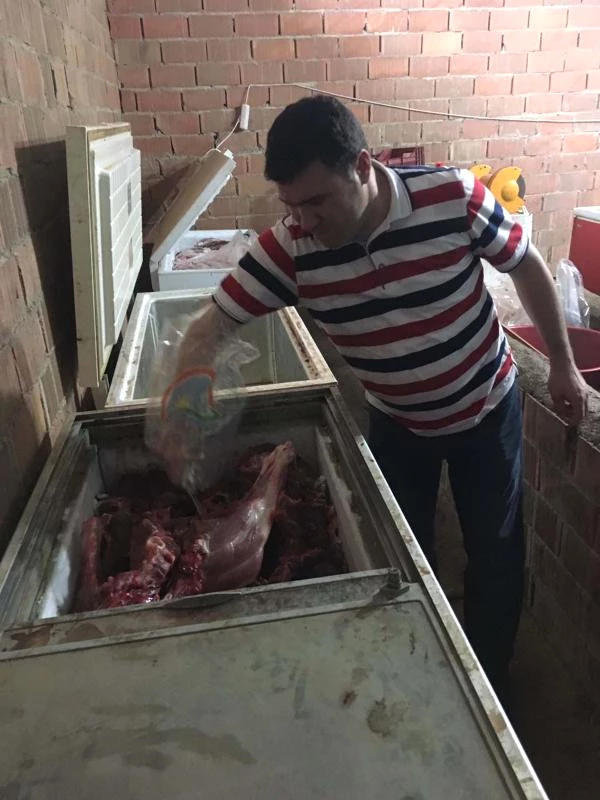 Aydın'da Piyasaya Sürülmek Üzere Hazırlanan 5 Ton Domuz Eti Ele Geçirildi