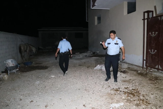 Adana'da Polis Eve Operasyon Düzenledi: 16 Tane Kesime Hazır At Ele Geçirildi