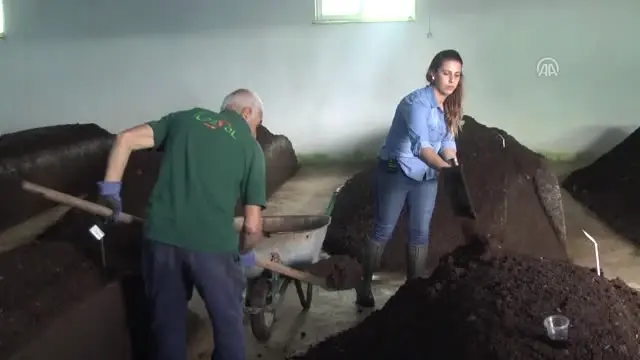 Bir Metrekarelik Kutuda Solucan Üretirken Şimdi 6 Bin Metrekarelik Tesis Açtı