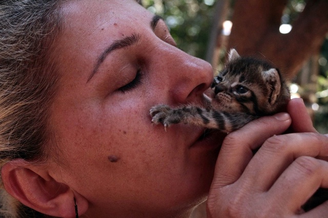 Evinde Yüzü Aşkın Kedi ve Köpek Besleyen Kadın Mahkemelik Oldu!