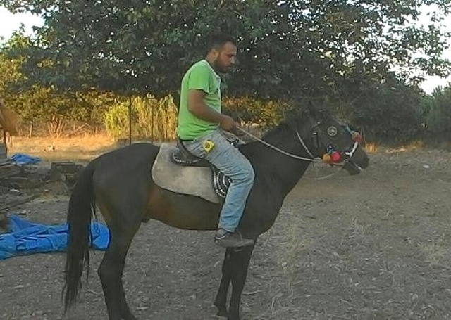 Bahçeye Giren Atı Vurdu, 'Beni Öldürecekti' Deyip Beraat Etti