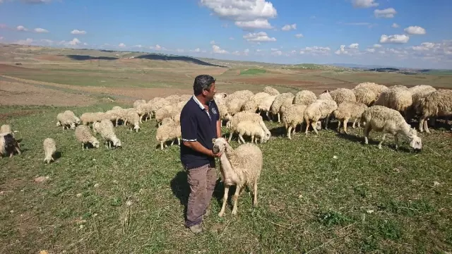 Ankara'da Şiddetli Yağmur, Çobanlar Canını Zor Kurtardı