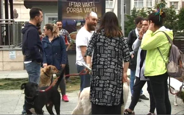 Parkta Köpek Gezdiren Cihangir Sakinlerine Saldırı: 1 Kişinin Kafasını Yardılar