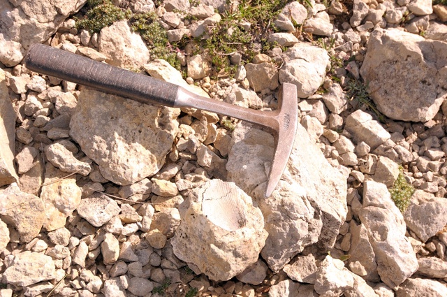 Ilgaz Dağı'nda Bulunan Deniz Fosili Tam 60 Milyon Yıllık