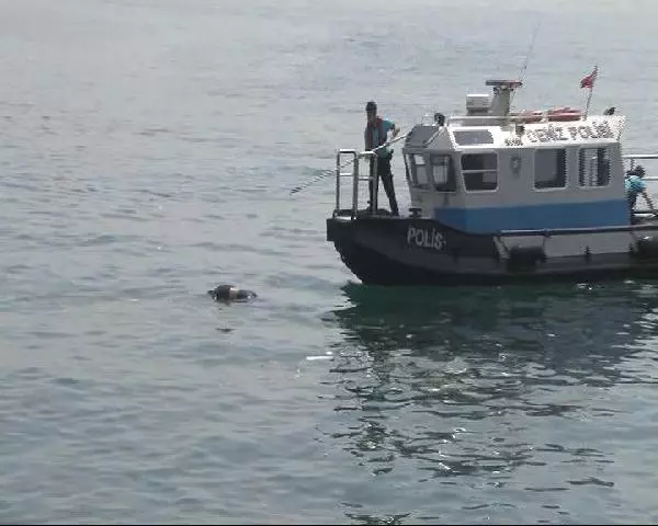 Samatya Sahilinde Denizden Ceset Çıktı