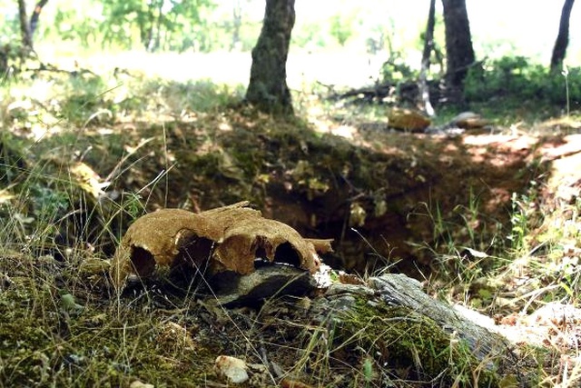 Gözünü Tarihi Taş Mezarlara Diken Define Avcıları Her Yeri Talan Etti