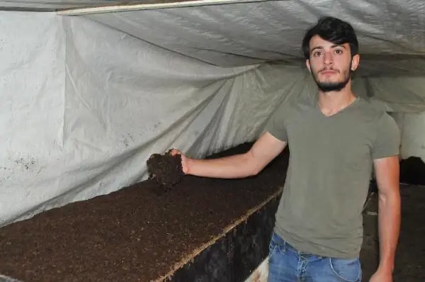 Üniversiteli Genç, Gübre Üretmek İsteyenler İçin 'Solucan Oteli' Açtı