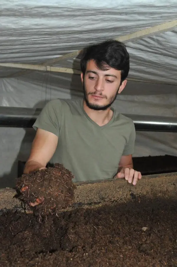 Üniversiteli Genç, Gübre Üretmek İsteyenler İçin 'Solucan Oteli' Açtı