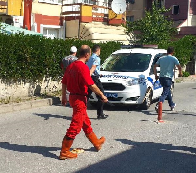 Mezbahadan Kaçan Uruguaylı Boğa, Kocaeli'yi Birbirine Kattı