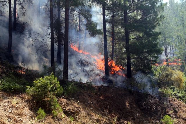 Antalya'nın Ciğerleri Yanıyor! Alevler Yerleşim Alanına Ulaştı, Evler Tahliye Ediliyor