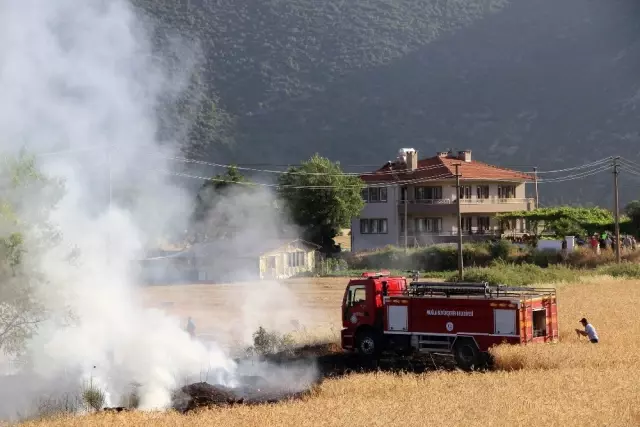 Muğla'da Korkutan Anız Yangını! Evlere Sıçramasına Ramak Kala Söndürüldü