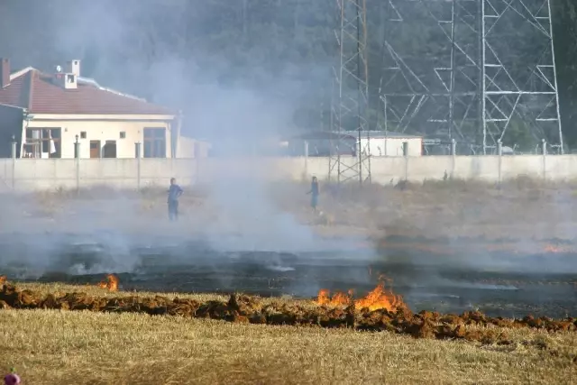 Muğla'da Korkutan Anız Yangını! Evlere Sıçramasına Ramak Kala Söndürüldü