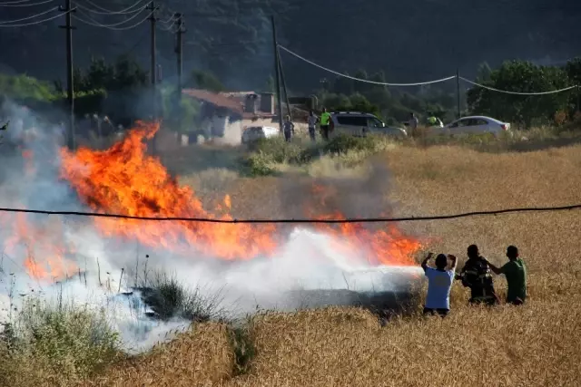 Muğla'da Korkutan Anız Yangını! Evlere Sıçramasına Ramak Kala Söndürüldü