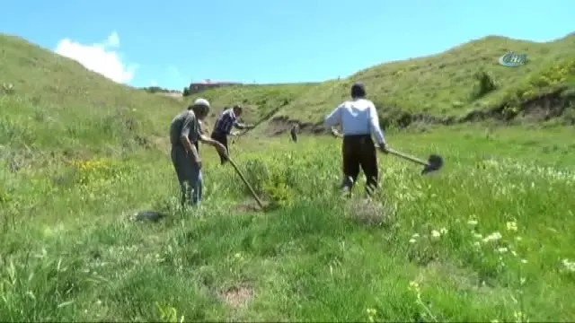 Ömrünü Fidan Dikmeye Adayan 90'lık 'Sofi Dayı', Doğaya 70 Bin Evlat Bıraktı