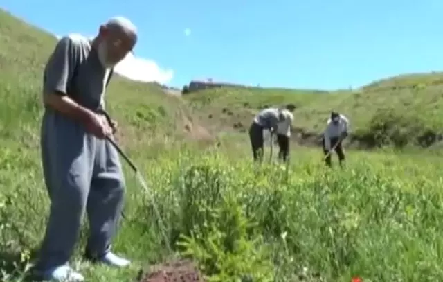 Ömrünü Fidan Dikmeye Adayan 90'lık 'Sofi Dayı', Doğaya 70 Bin Evlat Bıraktı