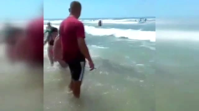 Timsaha Tasma Takıp Denizde Gezdiren Adam Tutuklandı!
