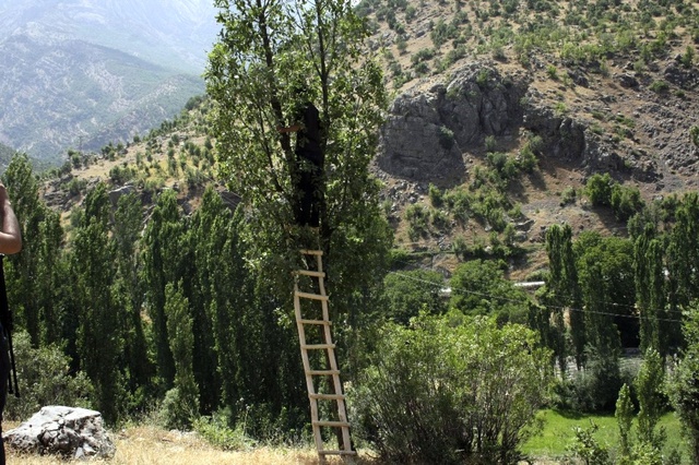 Şebekenin Olmadığı Köyde Vatandaşlar, Rahat Konuşabilmek İçin Ağaçlara Çıkıyor