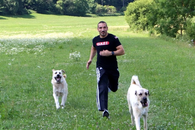 Türk Boksör Fırat Arslan, Avrupa Şampiyonluğu İçin Ringe Çıkacak