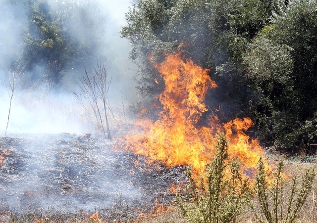 Antalya'daki Çalılık Alanda Yangın Çıktı: 5 Ev Boşaltıldı