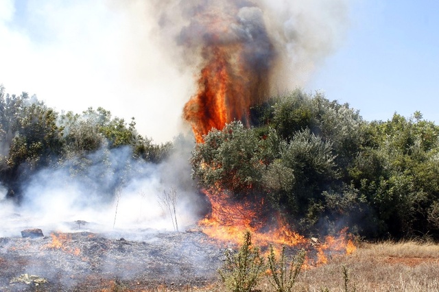 Antalya'daki Çalılık Alanda Yangın Çıktı: 5 Ev Boşaltıldı