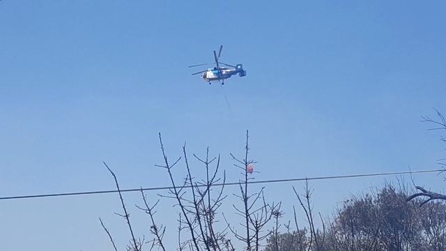 Antalya'daki Çalılık Alanda Yangın Çıktı: 5 Ev Boşaltıldı