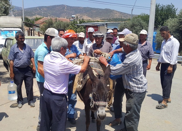 İzmir'de Yaşayan Mahalleli Eşek Sırtında Evlerine Su Taşıyor