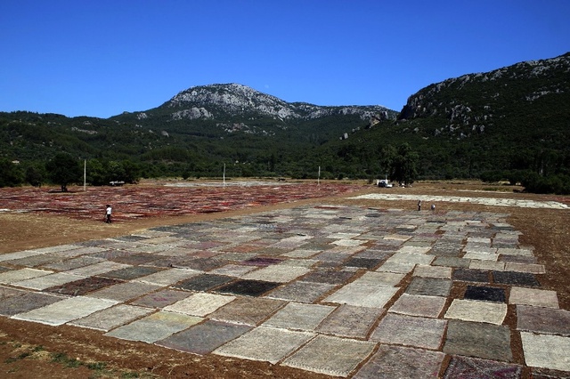 Antalya'nın Halı Ve Kilim Tarlası Göz Kamaştırıyor
