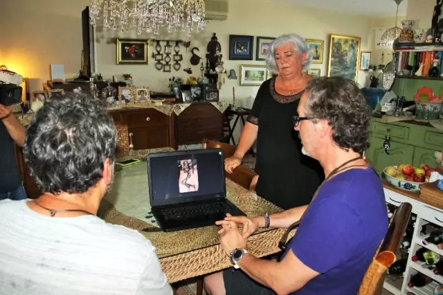 Fairy Elin İsimli İlginç Yaratık Bodrum'da Fotoğraflandı, Uzay Bilimciler Harekete Geçti