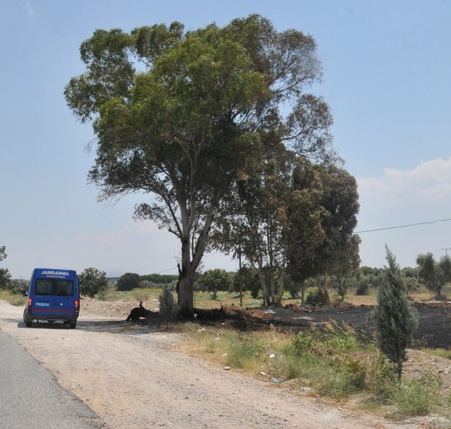 Yol Kenarında Fuhuş Yapan Kadınlara Jandarma Operasyon Düzenledi
